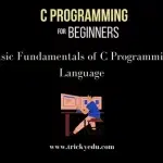 basic fundamentals of c programming language