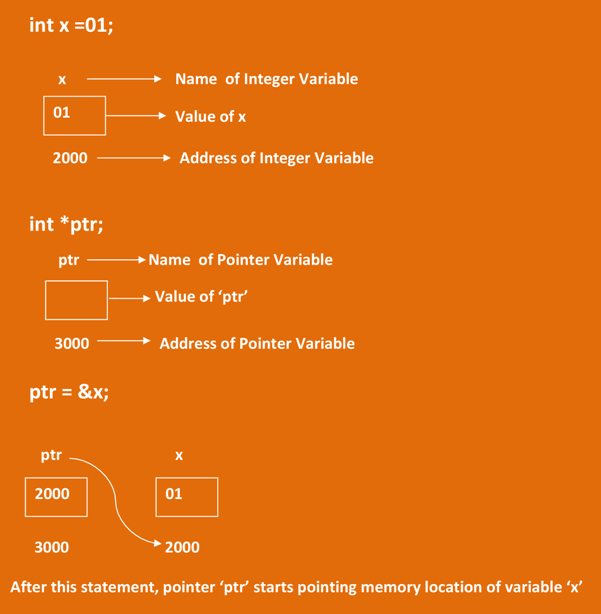 Pointers in C Programming