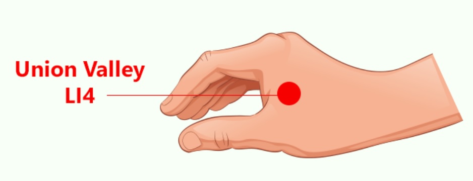 Acupressure Points For Acidity to Cure