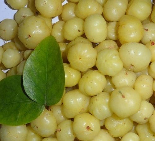 Amla Benefits