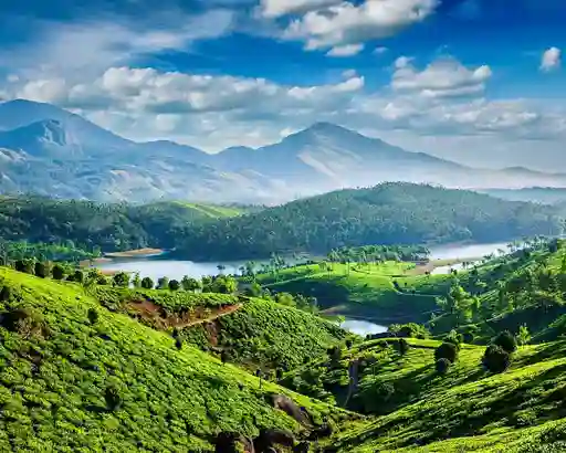 Munnar Honeymoon Package