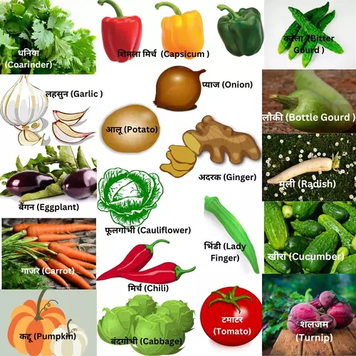 100+ List of Vegetable Names in Hindi to English