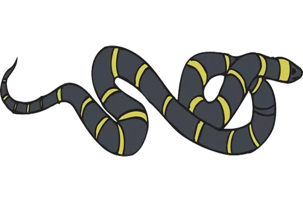 Seeing Black and Yellow Snake in Dream