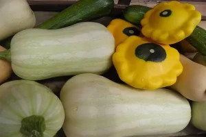 100+ List of Vegetable Names in Hindi to English