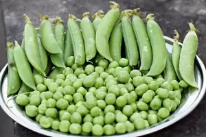 100+ List of Vegetable Names in Hindi to English