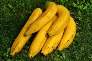 Fruits Name in Hindi and English with Pictures