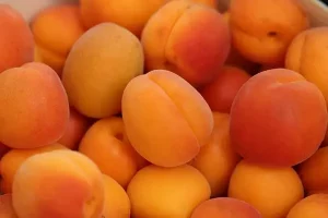 Fruits Name in Hindi and English with Pictures